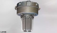 Light, hazardous location, incandescent, flush mount, globe is, stock number L-0145