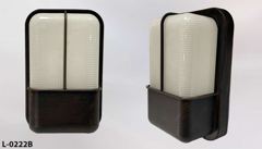 Light, wall mount, rust/bronze plastic box w/ frosted plexi insert, stock number L-0222b