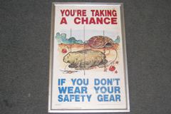 Sign-You're Taking A Chance..., w/ picture of turtle, in aluminum, stock number S-0939A