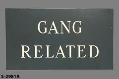 Sign-Gang Related, grey/wht, plastic, 14"w x 8"t, stock number S-2981a