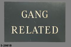 Sign-Gang Related, grey/wht, plastic, 12"w x 8"t, stock number S-2981b