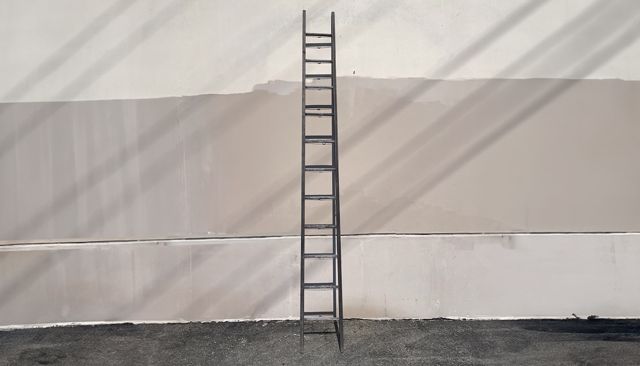Wood Straight Single Sided Ladders, Wood Straight Single Sided Ladders